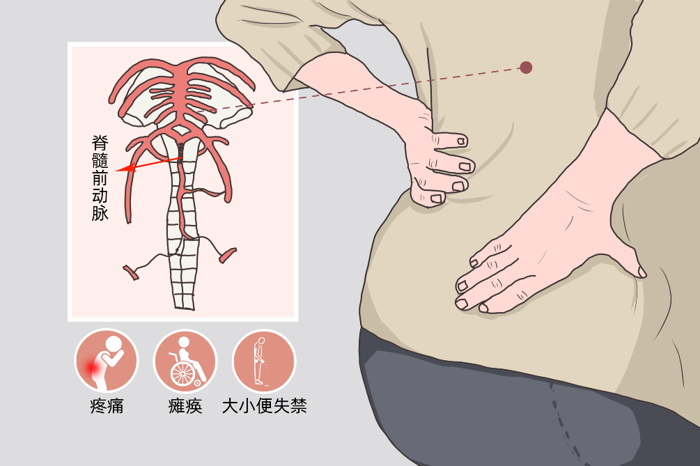 2024新澳门原料站