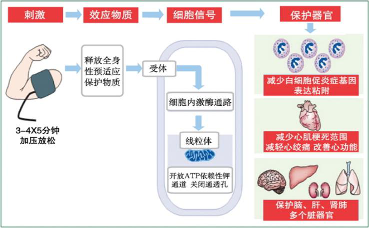 2024新澳门原料站