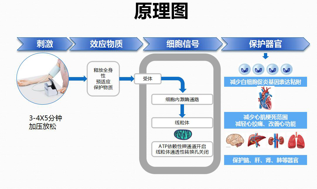 2024新澳门原料站